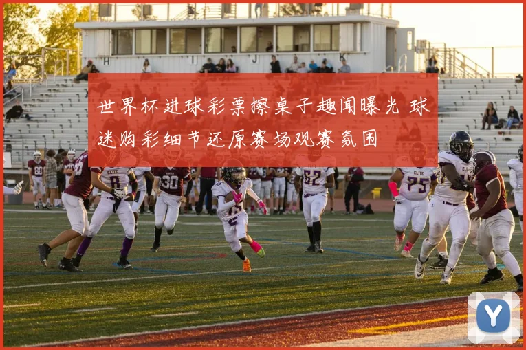 世界杯进球彩票擦桌子趣闻曝光 球迷购彩细节还原赛场观赛氛围