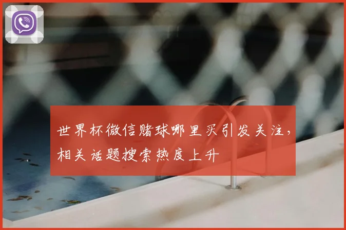 世界杯微信赌球哪里买引发关注，相关话题搜索热度上升